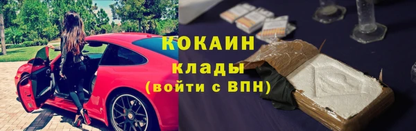 шишки Богданович